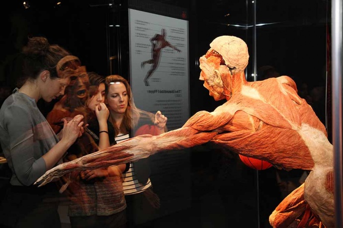 BODY WORLDS kiállítás az Etele Pálázában! Jegyek itt!